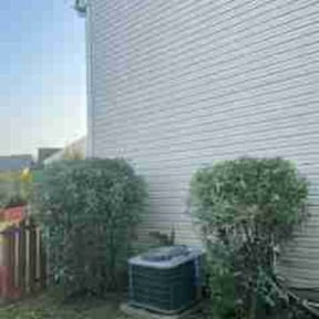 Bush Trimming by LSF reviewed on August 15, 2025