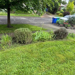 Bush Trimming by Faithful Lawn Care reviewed on August 20, 2025