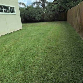 landscaping services by Superior lawn improvements reviewed on August 19, 2025