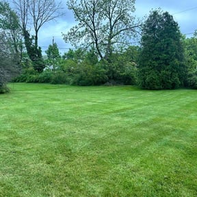yard work by Serenity Lawn Care and Property Maintenance reviewed on August 15, 2025