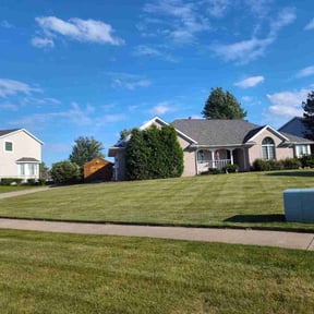 yard service by Carter Cares Lawn Care reviewed on August 16, 2025