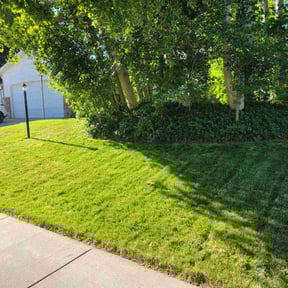gardening service by Four seasons landscaping & snow removal reviewed on August 16, 2025