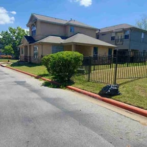 Bush Trimming by Richard Kidman reviewed on September 18, 2023