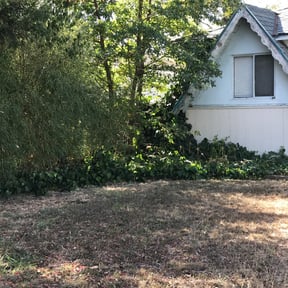 Bush Trimming by 618'S Snappin Out Lawn Care reviewed on August 19, 2025