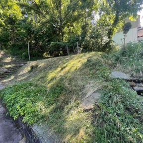 Bush Trimming by FW Home Solutions reviewed on August 15, 2025