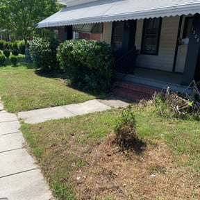Bush Trimming by CW Unlimited Enterprise LLC reviewed on August 16, 2025