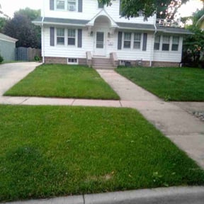turf maintenance by Picolo Landscaping reviewed on October 3, 2023