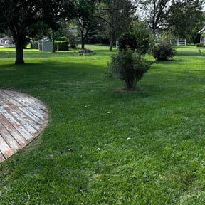 landscape maintenance by Richter Property Management L.L.C. reviewed on August 16, 2025