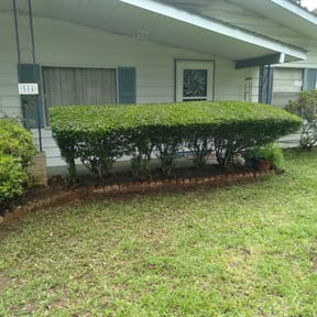Bush Trimming by Bella Vista Landscape Services reviewed on August 20, 2025