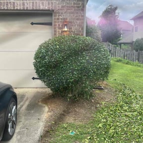 Bush Trimming by H.I.S Landscaping and more reviewed on August 19, 2025