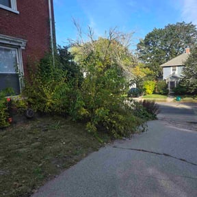 Bush Trimming by Detailed Xterior&#039;s of Tulsa (DXT) reviewed on November 8, 2025