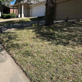 Leaf Removal by Iconic Mowing LLC reviewed on August 18, 2025