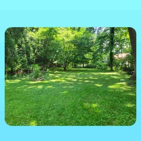 yard work by Blade2Bloom reviewed on August 16, 2025