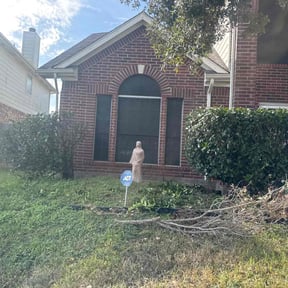 Bush Trimming by Dr. Green Lawn LLC reviewed on December 22, 2025