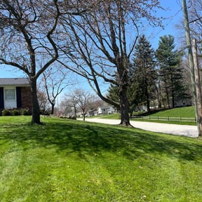 yard service by Yoder's Lawn Care reviewed on August 16, 2025