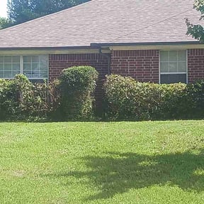 Bush Trimming by Scrub_baller reviewed on June 13, 2026
