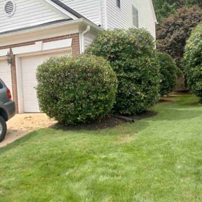 Bush Trimming by Total Property Maintenance L.L.C. reviewed on August 15, 2025