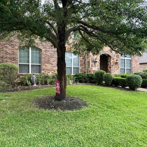 Bush Trimming by Fordson Lawn Care reviewed on August 15, 2025