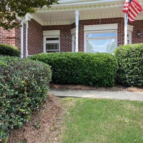 Bush Trimming by PRECISE DEFINITION MAINTENANCE LLC reviewed on August 19, 2025