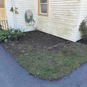 Bush Trimming by Chuyin&#039;s Lawn Care LLC reviewed on November 23, 2025