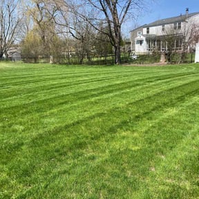 yard care by A. Jerry Meyers, Jr. reviewed on August 15, 2025