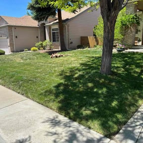 yard care by Thomas&#039;s Lawn Care reviewed on November 19, 2025