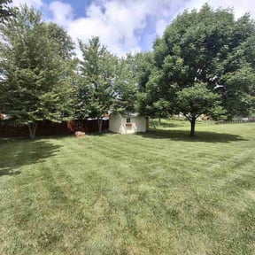 yard work by Trevor's lawn mowing reviewed on August 15, 2025