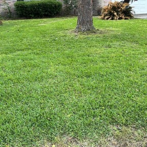 grass maintenance by Bearded landscaping reviewed on May 5, 2025