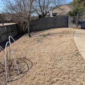 Leaf Removal by The More You Mow reviewed on August 16, 2025
