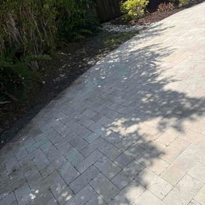 Bush Trimming by USA Lawn Pros reviewed on June 27, 2026