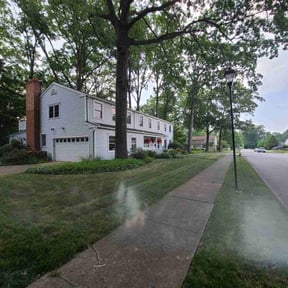 grass cutting by Sunnie's Lawn Care reviewed on July 10, 2025