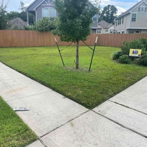 yard care by Family Matters Property Care LLC reviewed on August 17, 2025