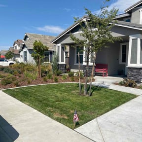 landscape maintenance by Williams landscaping and maintenance servicese reviewed on November 19, 2025