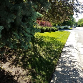 Bush Trimming by Foster's Lawncare and Landscaping reviewed on August 21, 2025