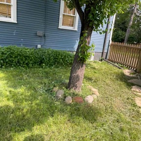 Bush Trimming by Them Joneses reviewed on August 17, 2025
