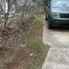 Leaf Removal by Living different renovation and landscaping services reviewed on December 9, 2025