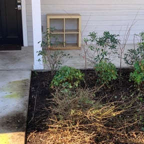 Bush Trimming by Solo Lawns reviewed on August 21, 2025