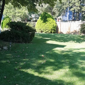 lawn care services by Lawns by Jordan reviewed on May 18, 2025
