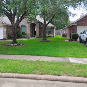 lawn maintenance by Bandala's Landscaping and Gardening Service reviewed on August 18, 2025