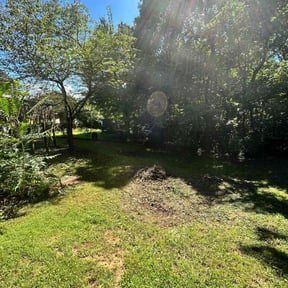 Bush Trimming by Felo Pride lawn services reviewed on August 18, 2025