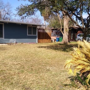 Leaf Removal by Amelias Lawn Professionals reviewed on August 21, 2025