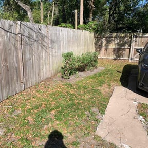 Bush Trimming by Campos landscaping Svs reviewed on August 21, 2025