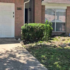 Bush Trimming by SNS LLC reviewed on May 5, 2026