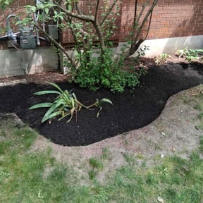 Mulching by Angelo&#039;s Mow &amp; Go reviewed on November 20, 2025