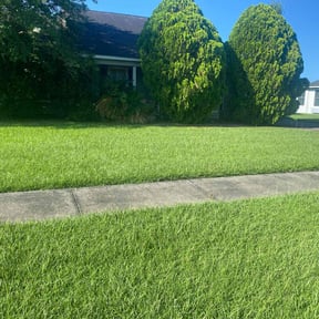 gardening service by Big Star yard reviewed on August 20, 2025