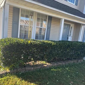 Bush Trimming by Christopher&#039;s lawn service reviewed on October 19, 2025