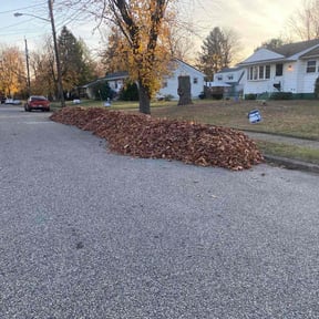 Leaf Removal by Arts Landscaping &amp; Maintenance reviewed on September 12, 2025