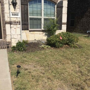 Flower Bed Weeding by Grass Gaurdian reviewed on August 18, 2025