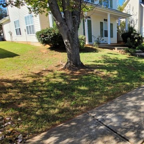 Leaf Removal by ,All We Do Is Care reviewed on September 28, 2025