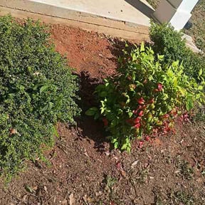 Flower Bed Weeding by YardGoat Mowing reviewed on April 23, 2026